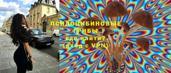 молекула духа Белоозёрский