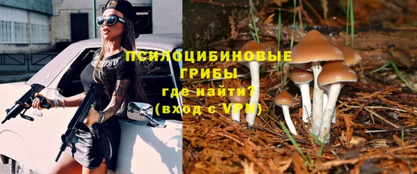 стафф Беломорск