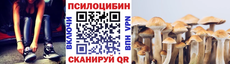 Псилоцибиновые грибы MAGIC MUSHROOMS Котельниково
