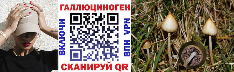 Псилоцибиновые грибы прущие грибы Котельниково